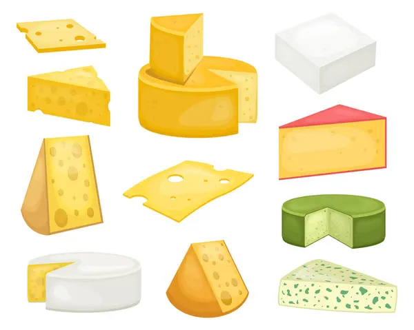 Peynir clipart tasarım çizimi