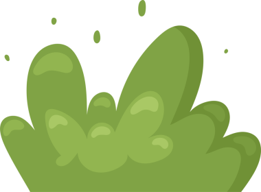 Çizgi filmlerdeki gibi parlak yeşil bir çalı, simsiyah bir arka planda. Birkaç küçük, benzer gölgeli noktalar çalılığın üzerinde süzülür, oyuncu, kaprisli estetik eklenir.