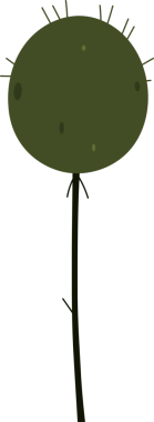 Tarzlı bir karikatür çizimi, bitkisel bir uzaylı yaşam formunu karanlık bir zemine karşı gösteriyor. Uzaylının zeytin yeşili oval bir kafası var. Küçük dikenleri ve lekeleri var. Koyu yeşil bir gövdenin üstünde..