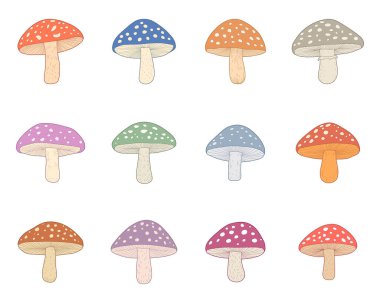 Bu resim, her biri eşsiz renklerde ve beneklerle desenlendirilmiş on iki büyüleyici mantardan oluşan bir koleksiyonu içeriyor. Temiz beyaz bir arkaplanda izole edilmiş bu fantastik mantarlar görsel olarak bağlanıyorlar.. 