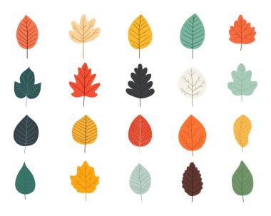 Çeşitli şekil ve renklerde vektör tarzı yaprakların bir koleksiyonu. Yapraklar düz, canlı kırmızı, turuncu, sarı, yeşil ve siyah renklerde, sonbahar ve doğayı çağrıştırıyor..