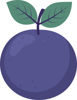 Koyu arkaplanda olgun bir meyvenin karikatür çizimi. Meyve yuvarlak ve koyu mor renktedir. Meyvenin tepesinden çıkan kısa bir kök, iki canlı yeşil yaprağı destekler..