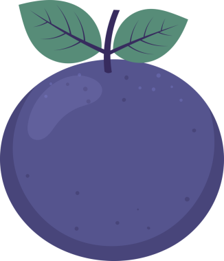 Koyu mor erik çizimi, siyah arka planda sulu bir meyve göstermektedir. Küresel şeklin tepesinden kısa bir bağlantı sapına sahip damarları olan iki yeşil yaprak filizleniyor. Küçük noktalar deriyi şekillendirir..