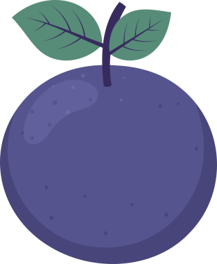 Dijital bir illüstrasyon stilize edilmiş bir meyveyi tasvir eder. Meyve yuvarlaktır ve mora boyanmıştır. Üstünde iki yaprak olan bir gövde, üstten filizlenir. Yapraklar yeşil. Arkaplan siyah.