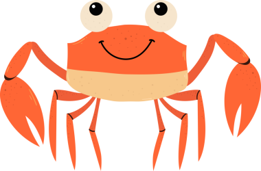 Bir illüstrasyonda, simsiyah bir zemine karşı neşeli, çizgi film tarzı bir yengeç sergilenir. Yengecin şaşı gözleri ve geniş bir gülümsemesi var. Kabuğu ılık turuncuya boyanırken, alt kısmı daha açık ve kumlu bir renge sahiptir..