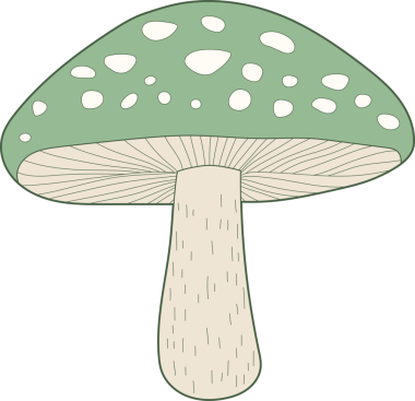 Açık yeşil şapkalı, sayısız beyaz noktayla süslenmiş tek bir mantarın tuhaf çizgi film tarzı çizimi. Mantarın sağlam, krem renkli bir sapı var. Arka plan simsiyah..