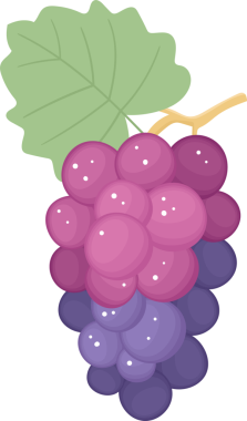 Resimli bir üzüm demeti, yukarıdan aşağıya pembe, aşağıdan mora, büyük yeşil bir yaprak ve üstten saplı bir dal ile dönüşüyor. Sağlıklı ve tatlı bir atıştırmalık..