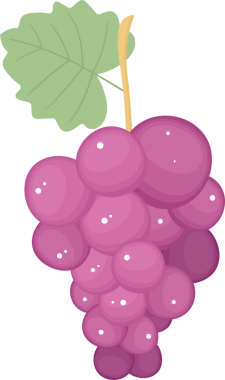 Bu, sapına yeşil bir yaprak iliştirilmiş tombul, mor üzümlerden oluşan bir demet çizgi film çizimi. Üzümler beyaz renklerle gösteriliyor. Arkaplan siyah.