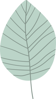 Tek bir yaprağın tasviri. Yaprak yumuşak yeşil bir renktir ve basit, zarif bir tasarıma sahiptir. Yaprağın damarları belirgin bir şekilde gösterilir ve minimalist botanik illüstrasyonuna detaylar eklenir.