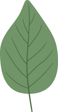 Yeşil bir yaprak, basit ve temiz bir tasarıma sahip siyah bir zemin üzerine kurulur. Yaprak simetriktir, merkezi bir damar ve daha küçük damarlar dallanır. Renk paleti doğal ve sessiz..
