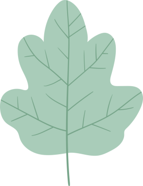 Açık yeşil bir yaprağın belirgin bir şekilde izole edilmiş bir örneği. Yaprağın belirgin lobları ve görülebilir bir gövdesi var. Hepsi de temiz ve koyu siyah bir zemin üzerine kurulmuş. Basit tasarım.