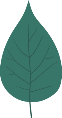 Sade damarları ve sivri uçlu bir ucu olan bir deniz mavisi yaprağı koyu siyah bir arkaplana karşı duruyor. Botanik çizim temiz, yaprağın yapısını simetrik damarlarıyla gösteriyor..