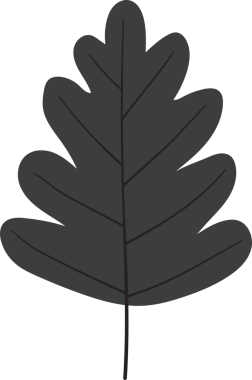 Tek, stilize bir yaprak koyu bir arkaplanda sergilenir. Monokrom yaprağının özellikleri, içinden geçen damarları açıkça belirler ve karmaşık yapısını vurgular. Minimalist estetik, yaprağın doğal şeklini vurgular..