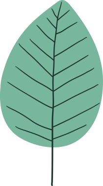 Açık deniz mavisi yaprağı siyah bir arkaplana dayanır. Yaprak, şekil olarak simetriktir, merkezden uzanan belirgin damarlar içerir. Tasarım basit ve stilize edilmiş. Görüntü çok az..