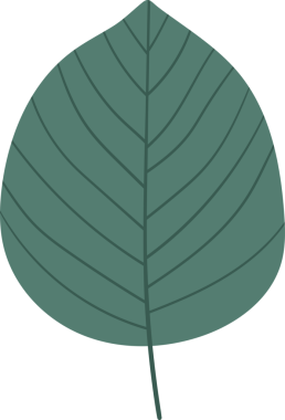 Bir illüstrasyonda stilize edilmiş, yeşil bir yaprak gösterilir. Yaprağın hatları pürüzsüz ve görünür damarları var, ona biçim ve detay veriyor. Arkaplan simsiyah, bu da yaprağı öne çıkarıyor..