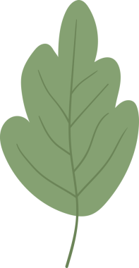 Bir adaçayı yeşili stilize yaprak sert bir siyah arkaplana karşı duruyor. Yaprağın basit damarları görünür, kenarları pürüzsüz ve yuvarlaktır, nazik ve davetkar bir görüntü oluşturur..