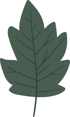 Tarzlı bir illüstrasyon düz siyah arkaplana karşı tek bir koyu yeşil yaprak içerir. Yaprak, merkezi damardan dallanan birkaç damar gösterir. Tasarım basit, temiz ve grafiksel..