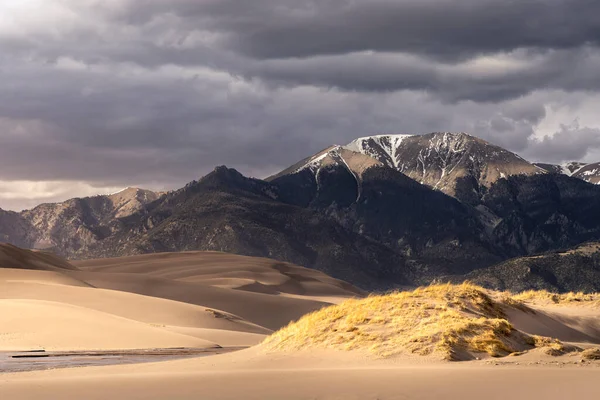 Grass Grows Sand Dune Mountain Landscape Snow Atop Mountain Peak — Stock Photo, Image