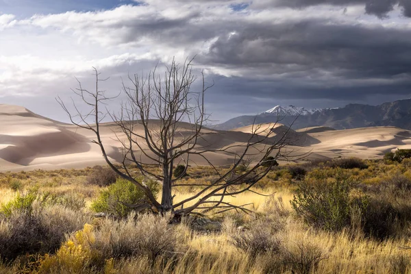 Dunes Sable Dans Les Montagnes Rocheuses Colorado Printemps Beaucoup Sable Images De Stock Libres De Droits