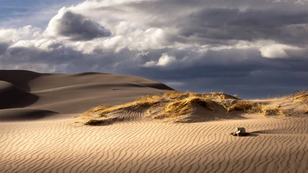 Dunes Sable Dans Les Montagnes Rocheuses Colorado Printemps Beaucoup Sable Image En Vente