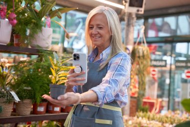 Asyalı güzel genç bir kadın satılık akıllı telefon ile esrar üzerinde küçük bitkilerin fotoğrafını çekiyor. Çevrimiçi satış kavramı.