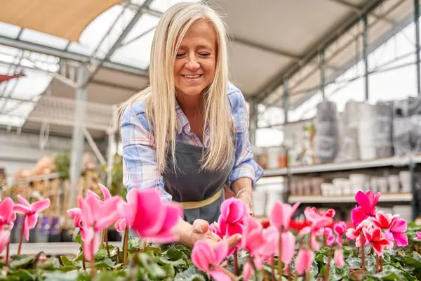 Çiçekçide çalışan beyaz saçlı olgun bir kadının portresi.