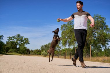 Sahibi parktaki yeşil çimlerde köpeğiyle oynuyor. Hayvanlarla eğlenceli yürüyüşler..