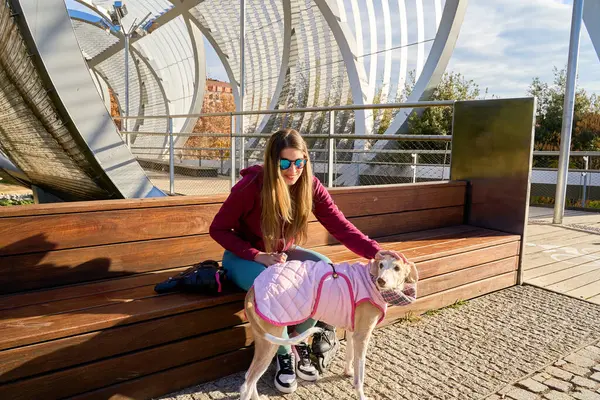 Madrid, İspanya 'daki Arganzuela köprüsündeki bir bankta otururken pembe örtülü paltosunu giymiş tazı köpeğini okşayan genç bir kadın.