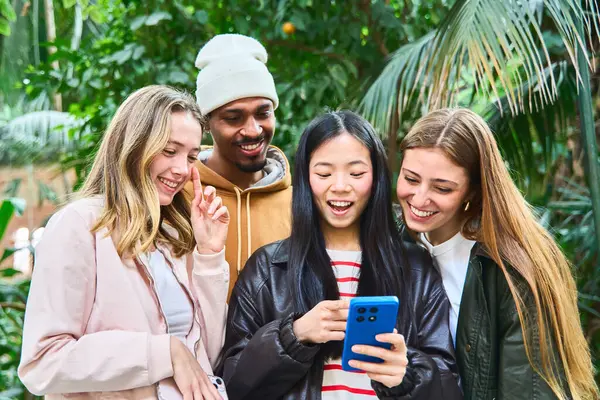 Dört neşeli çoklu etnik üniversite öğrencisi kampüs serasında akıllı bir telefonla eğlenceli bir video izliyorlar.