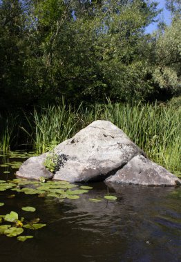 Nehirde küçük bir taş