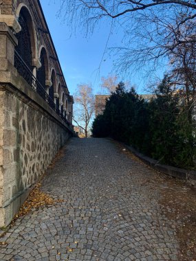 Tapınağın yanındaki taş yolda.