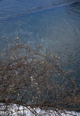 Doğanın güzel manzarası