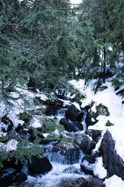 Dağların güzel manzarası