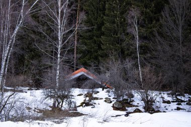 Kış dağlarda ormanda