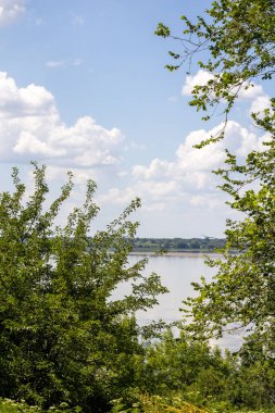 view of the river and the forest