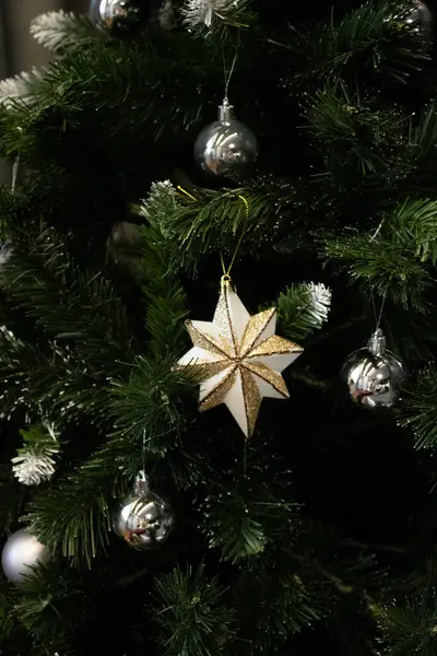 beautiful christmas tree with white and gold star.