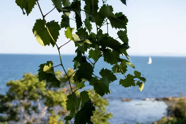 beautiful view of the see