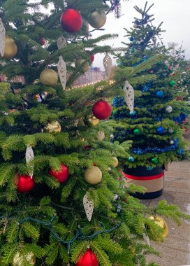 Yeni yıl ve Noel ağacı