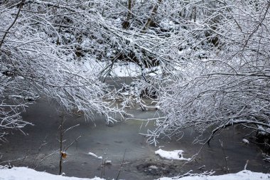 Güzel kış manzarası göl kenarında