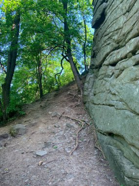 Yeşil ve mavi gökyüzünün dikey görüntüsü.