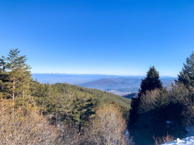 Kar yağışlı Vitoşa Dağı 'nın muhteşem kış manzarası