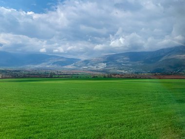 Yeşil çimen ve mavi gökyüzü olan güzel bir manzara.