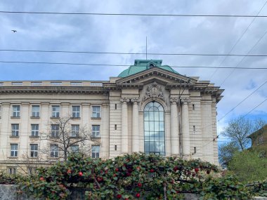 Geniş binalı eski bir üniversite binasının manzarası