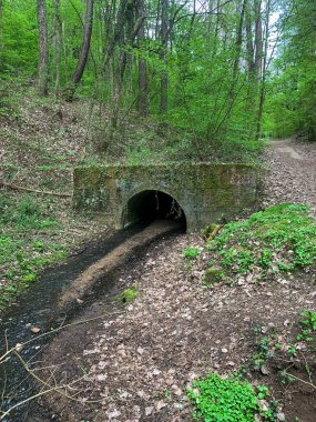 Yeşil ağaçlar ve gün ışığında bitkilerle çevrili dar bir köprünün dikey görüntüsü