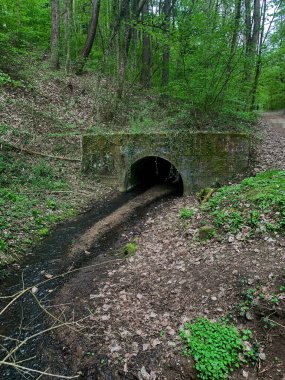 Ormandaki eski köprünün güzel manzarası.