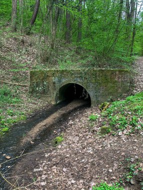 Ormandaki eski ahşap köprü