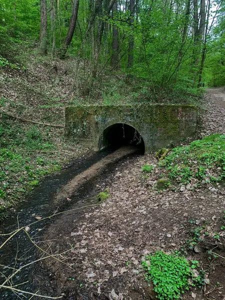 Ormandaki eski köprünün güzel manzarası.