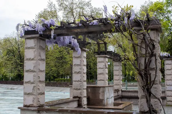 Bahçede güzel çiçekler, salkımlar