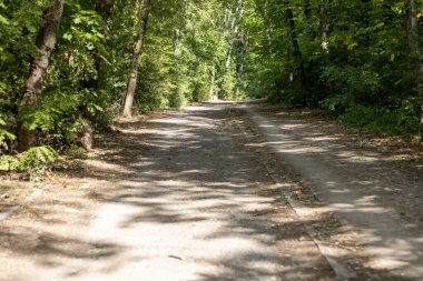 Green Park 'taki patikada. Yaz günü, doğa.