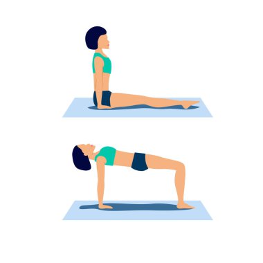 Ardha purvottanasana ya da ters masa başı yoga pozu. Solunum ve endokrin sistem uyarımları için yengeç pozu. Fizyoterapist, broşür, uygulama ve internet için kadın eğitim programı. Vektör